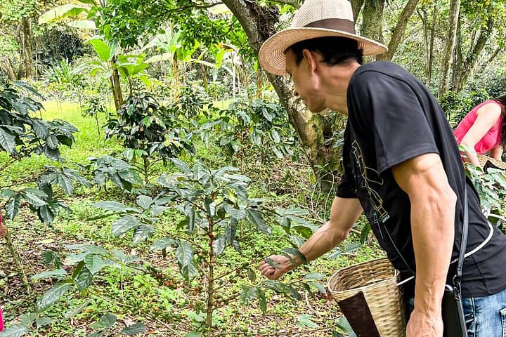 Bogotá to Hacienda Coloma: Full-Day Coffee Farm Experience photo 6