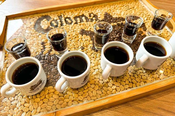 Bogotá to Hacienda Coloma: Full-Day Coffee Farm Experience photo 2