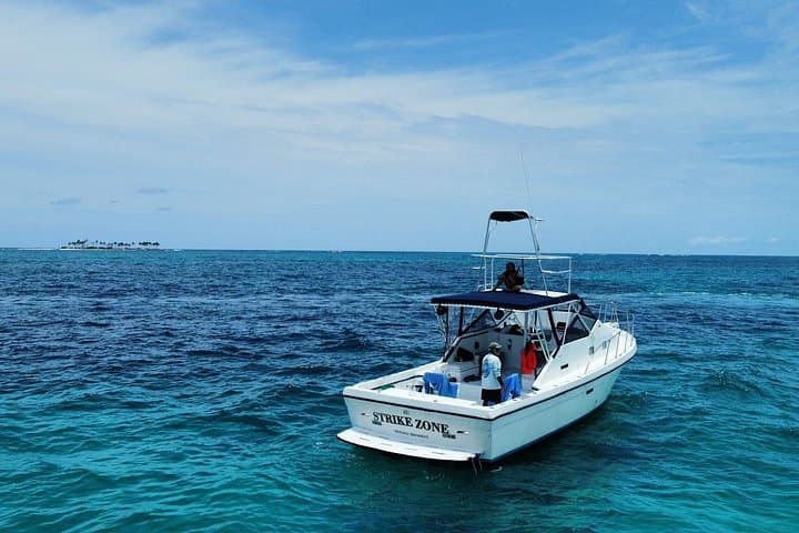 Private 38' Defender Sportfishing, Snorkeling & Swim with Pigs from Nassau