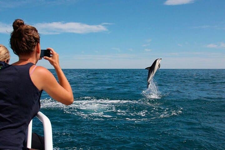 Brijuni National Park Dolphin Cruise from Pula — Island Day Trip