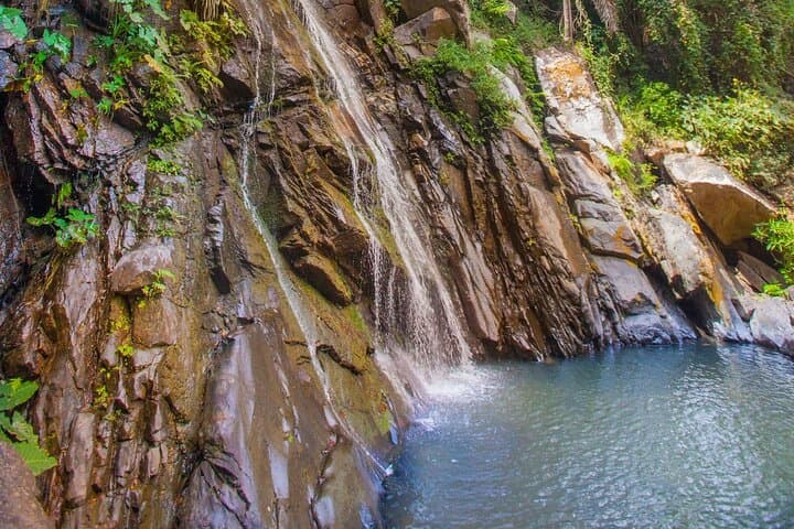 Sea Safari and Secluded Pizota Beach BBQ from Puerto Vallarta photo 6