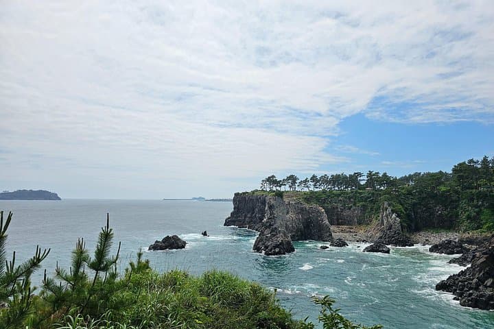West & South Jeju Private Taxi Tour — Waterfalls, Tea Fields & Coastline Walks photo 1