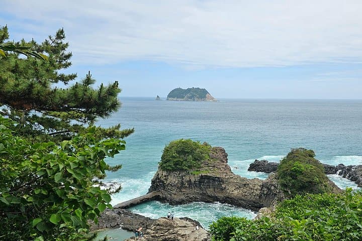 West & South Jeju Private Taxi Tour — Waterfalls, Tea Fields & Coastline Walks photo 2