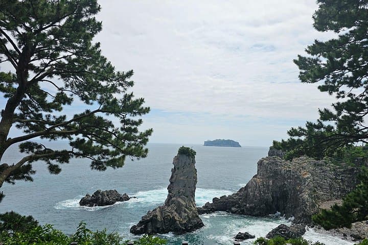 West & South Jeju Private Taxi Tour — Waterfalls, Tea Fields & Coastline Walks photo 3