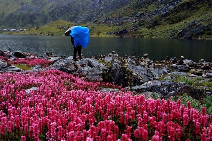 Pancha Pokhari Trek: 5-Day Sacred Lakes Trek from Kathmandu photo 6