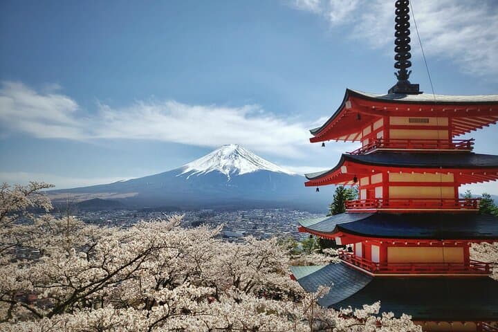 Full-Day Mount Fuji Tour with Spanish Guide — Lakes, Shrines & Aokigahara