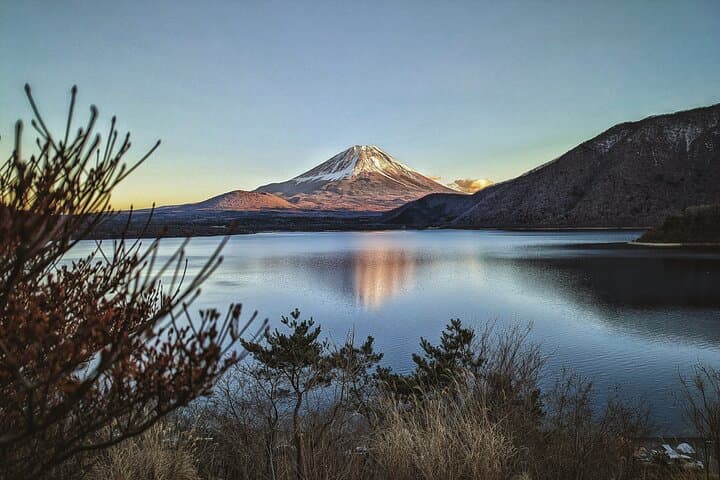 Full-Day Mount Fuji Tour with Spanish Guide — Lakes, Shrines & Aokigahara photo 2