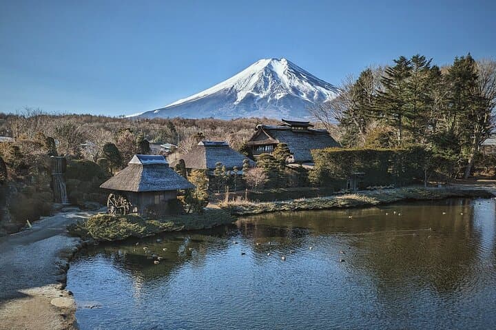 Full-Day Mount Fuji Tour with Spanish Guide — Lakes, Shrines & Aokigahara photo 4