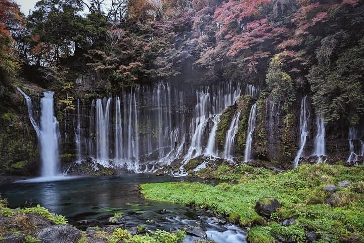 Full-Day Mount Fuji Tour with Spanish Guide — Lakes, Shrines & Aokigahara photo 5