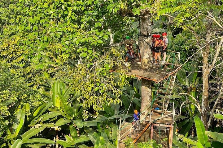 Sky Hawk Zipline Chiang Mai: Treetop Zipline Adventure & Sky Bridges photo 3