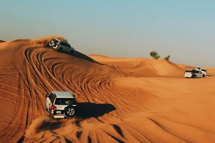 Private 6-Hour Dubai Desert Safari with Dune Bashing, Camel Ride & BBQ Dinner photo 6