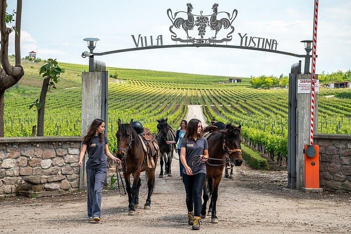 Horseback Through the Rhodope Vineyards: Half-Day Ride to Red Church and Wine Tasting