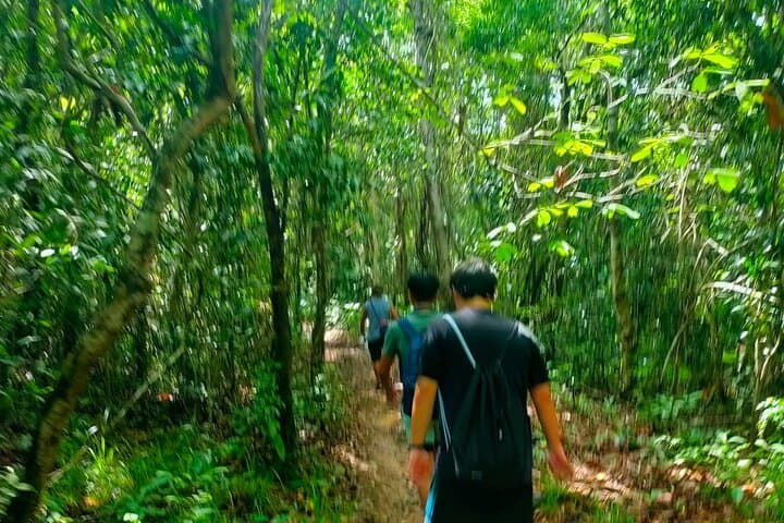 Trek to Da Ngon Waterfall: Phu Quoc Rainforest Hike and Wild Swim photo 2