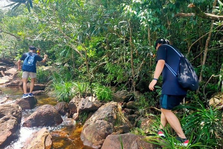 Trek to Da Ngon Waterfall: Phu Quoc Rainforest Hike and Wild Swim photo 3