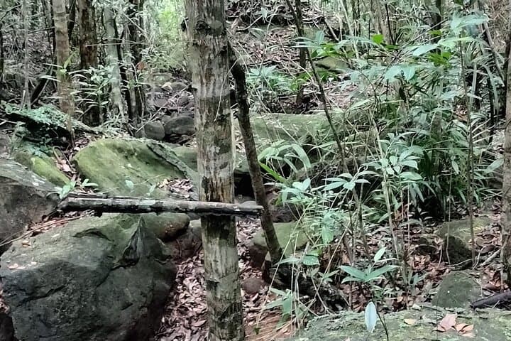 Trek to Da Ngon Waterfall: Phu Quoc Rainforest Hike and Wild Swim photo 4