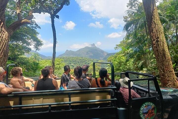 Half-Day Jeep Tour Through Rio's Tijuca Rainforest: Vista Chinesa, Waterfall Dip & City Views