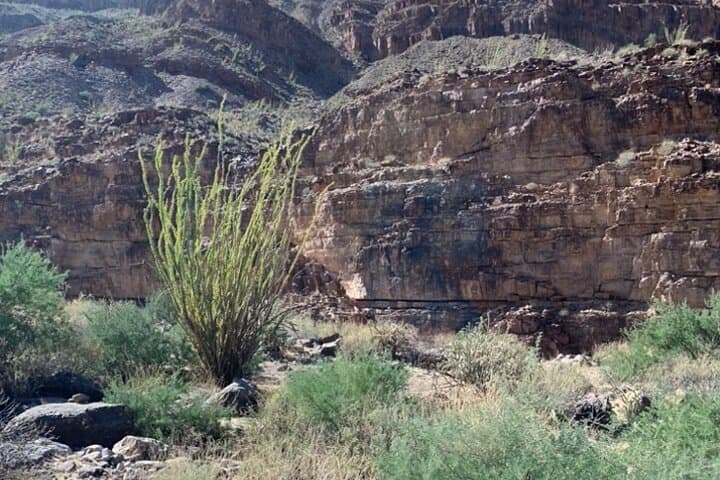 Private Guided Grand Canyon Bottom Tour from Sedona photo 4
