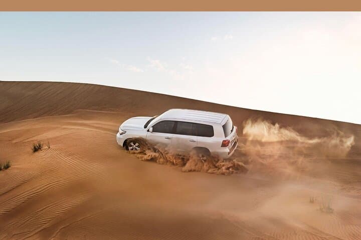 Dubai Red Dune Desert Safari: 4x4 Dune Bashing, Camel Rides & Live Shows