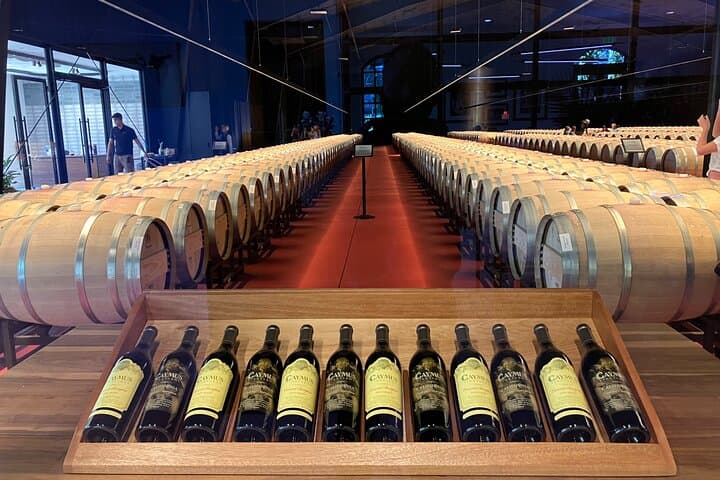 Private Napa and Sonoma Wine Tour: Luxury Van Tastings & Vineyard Walks photo 2