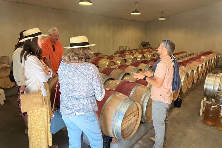 Private Napa and Sonoma Wine Tour: Luxury Van Tastings & Vineyard Walks photo 4