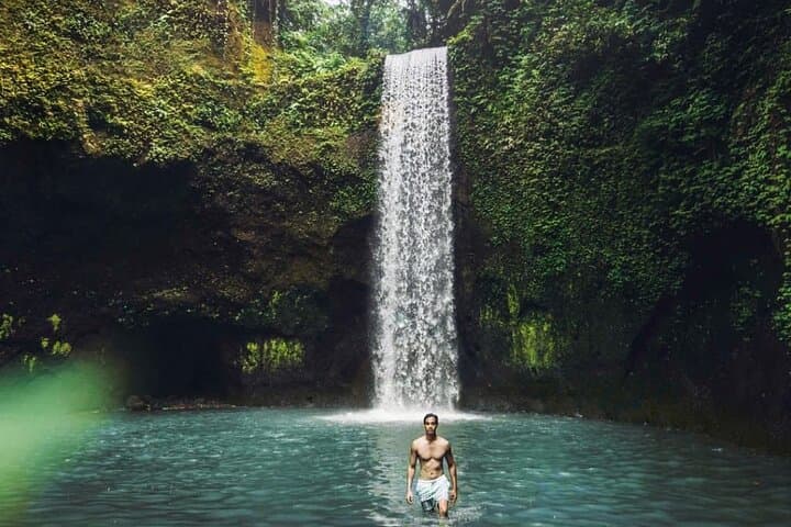 ubud-customized-full-day-tour-rice-terraces-monkey-forest-waterfalls photo 3