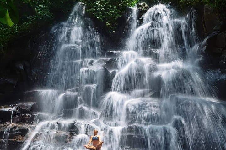 ubud-customized-full-day-tour-rice-terraces-monkey-forest-waterfalls photo 4