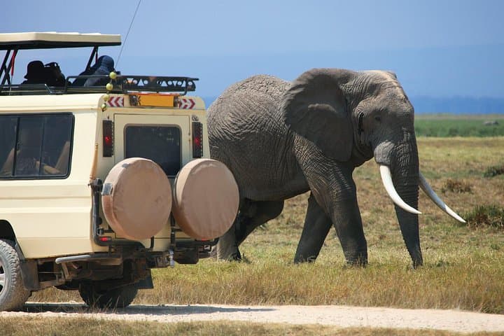 Full-Day Tarangire Safari: Private Game Drive to See Elephants & Baobabs photo 2