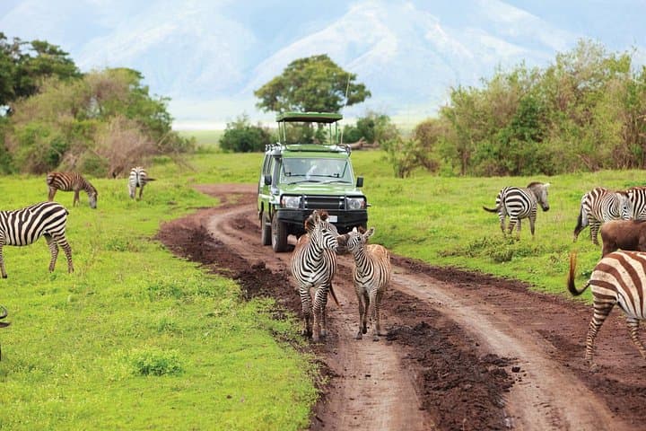 Full-Day Tarangire Safari: Private Game Drive to See Elephants & Baobabs photo 4