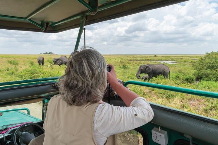 Full-Day Ngorongoro Crater Safari: Private Wildlife Adventure from Arusha photo 4
