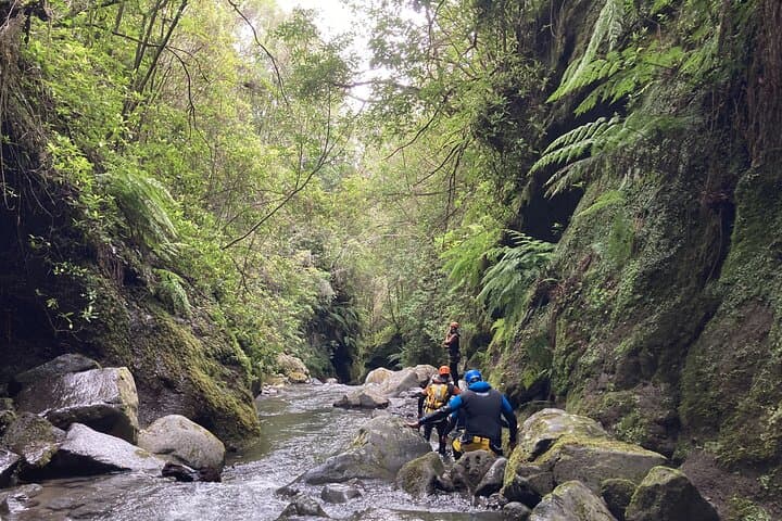 Half-Day Beginners Canyoning in Funchal: Abseil, Jumps & Natural Slides photo 4
