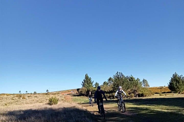 Madeira Mountain Biking: Poiso-to-Camacha Levada Trail (25K) photo 4