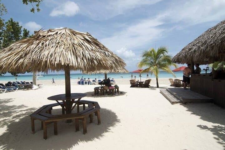 Exploring Jamaica's Northern Coast: A Negril Day Adventure