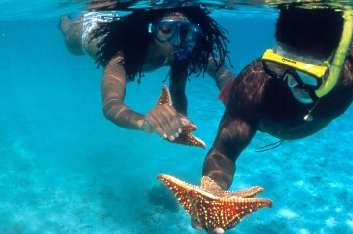 Reggae Rafting & Power Snorkel Party Cruise — Montego Bay Catamaran and Lethe Bamboo Raft Combo photo 2