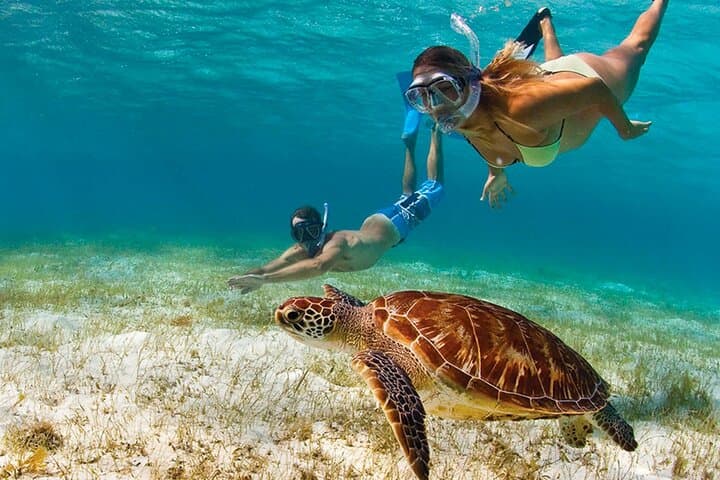 Montego Bay Snorkeling and Boat Ride — Harmony Beach Reef Adventure photo 4