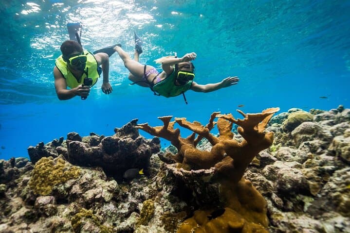 Montego Bay Snorkeling and Boat Ride — Harmony Beach Reef Adventure photo 3
