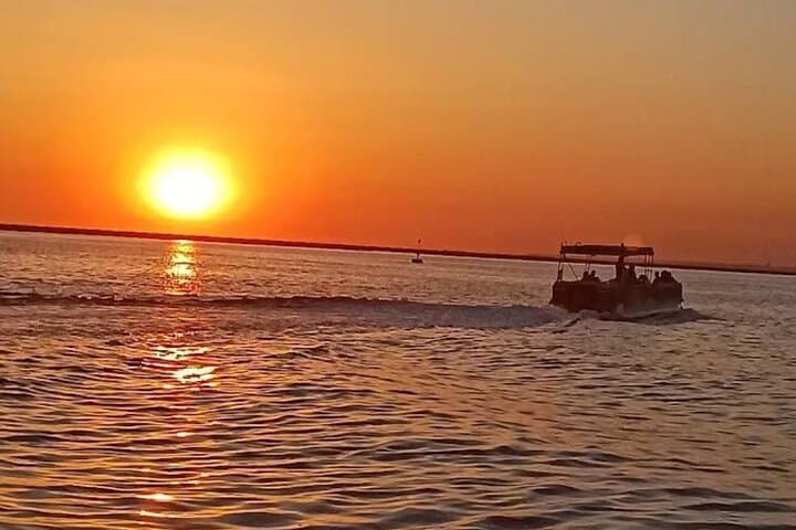 Ria Formosa Sunset Catamaran Tour from Faro