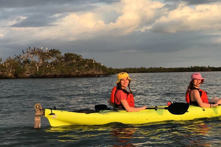 Rookery Bay Beginner Kayak Tour — Introductory Eco-Paddle from Naples photo 2