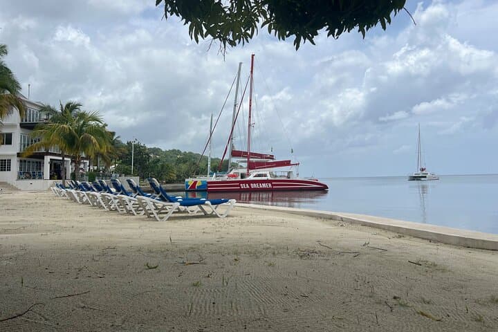 Montego Bay Catamaran Party, Bamboo Rafting & Snorkeling Adventure photo 3