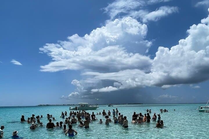 Private Stingray City Charter: Swim With Stingrays, Coral Gardens & Starfish Point photo 2