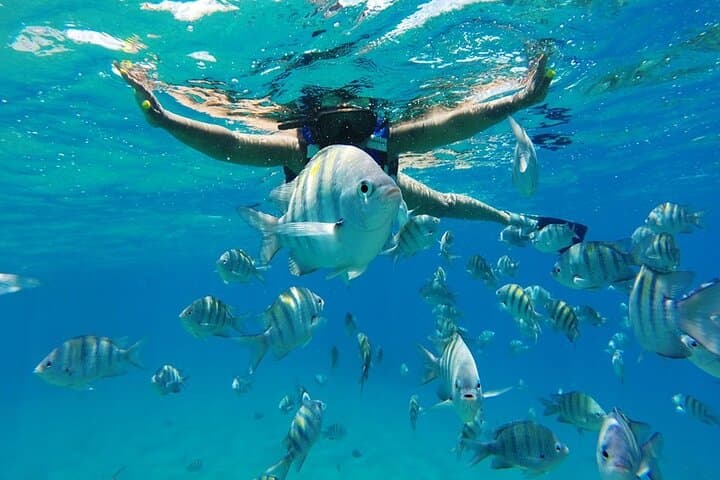 Private Half-Day Catamaran Cruise and Snorkel from Puerto Plata photo 6