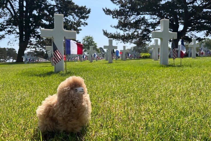 Discover the Normandy D-Day Landing Beaches and Beyond