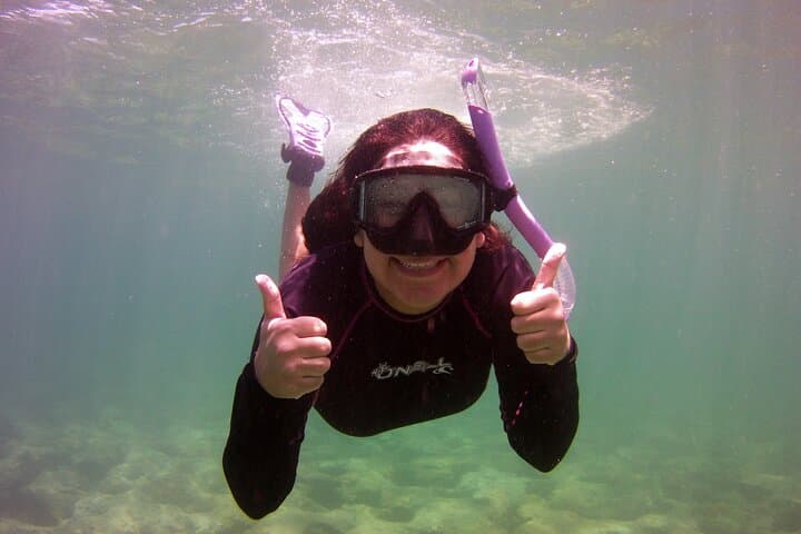 Shore Snorkel with a Divemaster at Lauderdale-by-the-Sea Reef