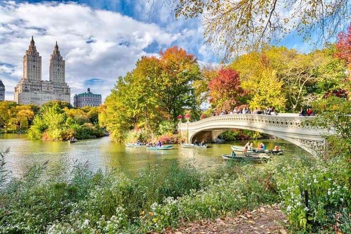 Central Park Guided Pedicab Tour — Private Pedicab Ride Through NYC's Iconic Park photo 2