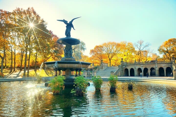 Central Park Pedicab Tour: Private Guided Pedicab Ride Through NYC's Iconic Park photo 3