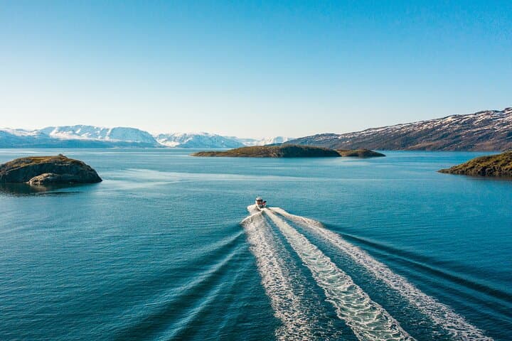 Alta Fjord 2-Hour Guided Adventure Cruise — Wildlife, WWII History & Scenic Boat Tour