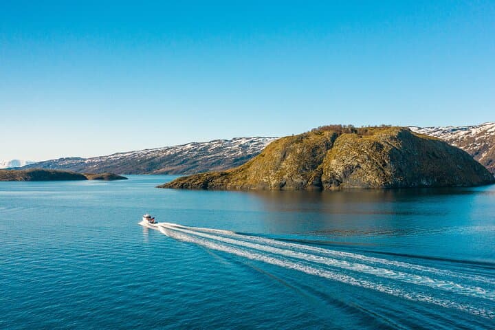 Alta Fjord 2-Hour Guided Adventure Cruise — Wildlife, WWII History & Scenic Boat Tour photo 2