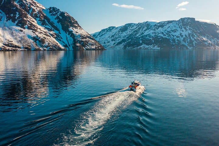 Alta Fjord 2-Hour Guided Adventure Cruise — Wildlife, WWII History & Scenic Boat Tour photo 3