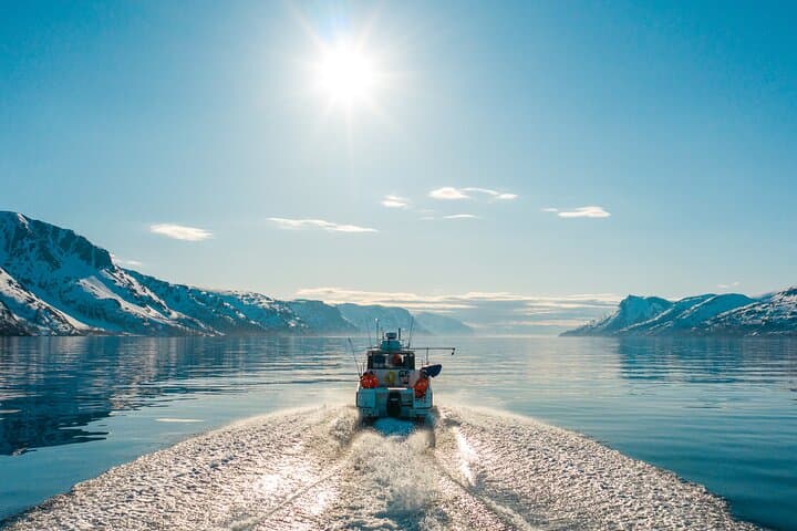 Alta Fjord 2-Hour Guided Adventure Cruise — Wildlife, WWII History & Scenic Boat Tour photo 4