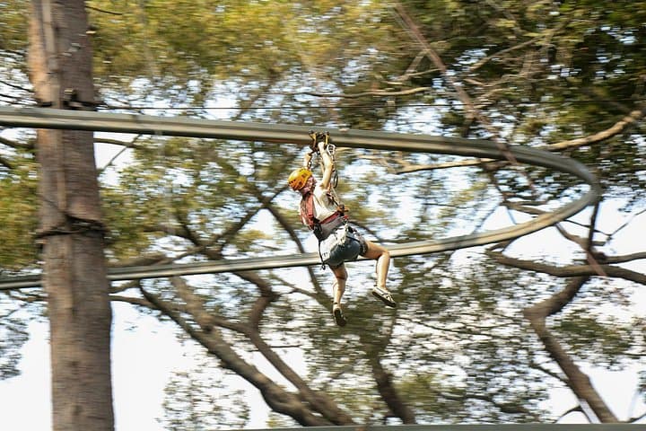 Jungle Flight Zipline Adventure from Chiang Mai — 34 Platforms & 1km Zipline Coaster
