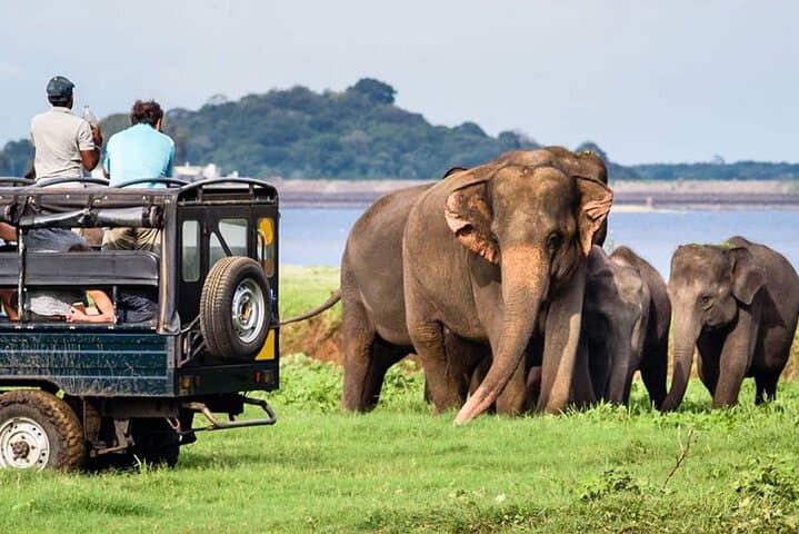 9-Day Private Sri Lanka Tour: Sigiriya, Kandy, Ella & Yala with 3★ Hotels photo 4